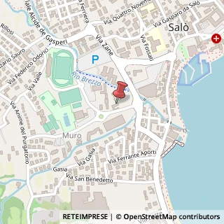 Mappa Via Maria Montessori, 10, 25087 Salò, Brescia (Lombardia)
