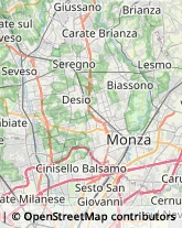 Mercati Generali e Concessionarie di Mercato Lissone,20851Monza e Brianza