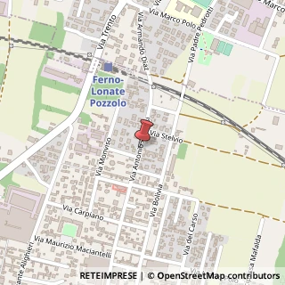 Mappa Via Repossi Antonio, 61, 21015 Ferno, Varese (Lombardia)