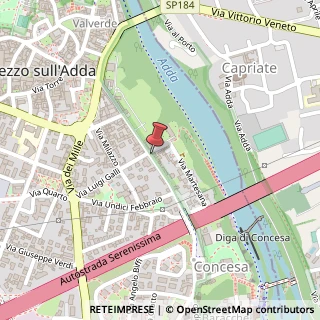 Mappa Via Giuseppe Carcassola, 55, 20056 Trezzo sull'Adda, Milano (Lombardia)