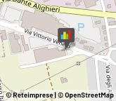 Animali Domestici - Toeletta,24040Bergamo