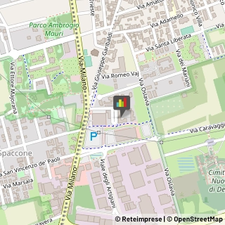 Soffittature e Controsoffittature Desio,20832Monza e Brianza