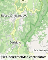 Aziende Agricole Bosco Chiesanuova,37021Verona