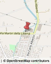 Via Martiri della Libertà, 16/A,35010Grantorto