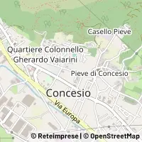 Carte Concesio