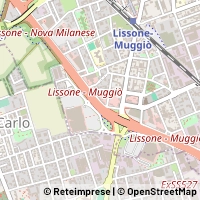 Map Lissone