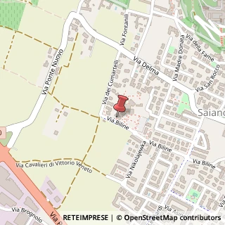 Mappa Via Biline, 25050 Rodengo-Saiano, Brescia (Lombardia)