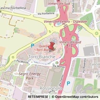 Mappa Via Torri Bianche, 7, 20871 Vimercate, Monza e Brianza (Lombardia)