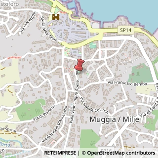 Mappa Viale XXV Aprile, 3, 34015 Muggia, Trieste (Friuli-Venezia Giulia)