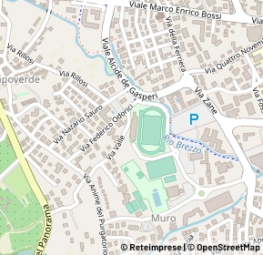 Mappa Piazzale Enzo Ferrari, 25087 Salò BS, Italia (0.16923)