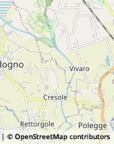 Molle - Produzione e Commercio Rossano Veneto,36028Vicenza