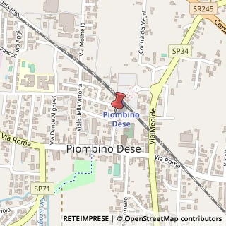 Mappa Viale della Stazione, 13, 35017 Piombino Dese, Padova (Veneto)