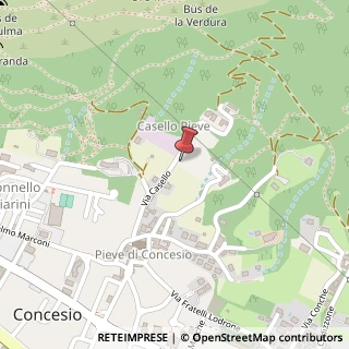 Mappa Via Casello, 32, 25062 Concesio, Brescia (Lombardia)