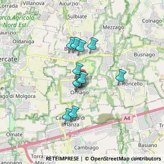 Mappa Via Faro, 20876 Ornago MB, Italia (1.23833)