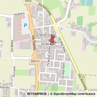 Mappa Via Montello, 16, 31059 Zero Branco, Treviso (Veneto)