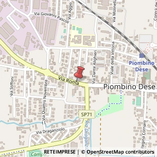 Mappa Via Selvina, 5, 35017 Piombino Dese, Padova (Veneto)