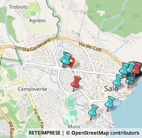 Mappa Viale Marco Enrico Bossi, 25087 Salò BS, Italia (0.7075)