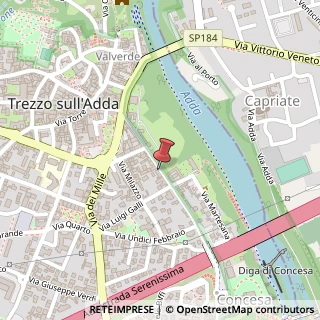 Mappa Via Giuseppe Carcassola, 40, 20056 Trezzo sull'Adda, Milano (Lombardia)