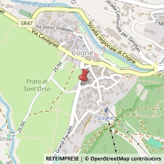 Mappa Rue Grand Paradis, 21, 11012 Cogne, Aosta (Valle d'Aosta)