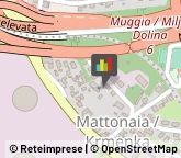 Asili Nido San Dorligo della Valle,34018Trieste