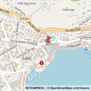 Mappa Piazza Angelo Zanelli, 5, 25077 Salò, Brescia (Lombardia)