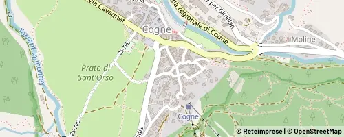 Mappa Cogne