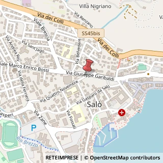 Mappa Via IV Novembre, 25087 Salò BS, Italia, 25087 Salò, Brescia (Lombardia)