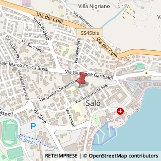 Mappa Via Trieste,  14, 25087 Salò, Brescia (Lombardia)