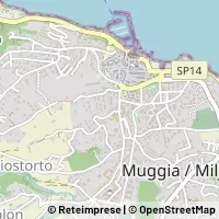 Kart Muggia