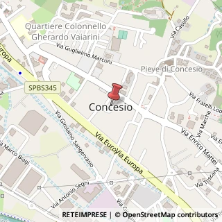 Mappa Via G. Verdi, 5, 25062 Concesio, Brescia (Lombardia)