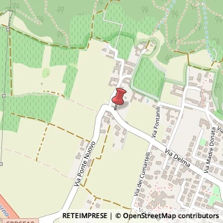Mappa Via Delma, 4, 25050 Rodengo-Saiano, Brescia (Lombardia)