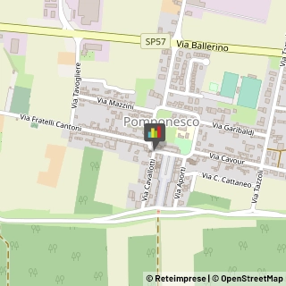 Agenzie ed Uffici Commerciali Pomponesco,46030Mantova