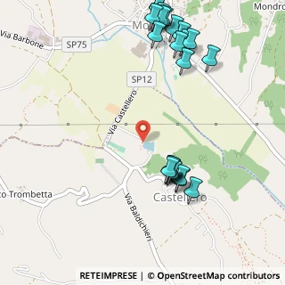 Mappa Via Monale, 14013 Castellero AT, Italia (0.656)