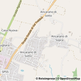 Mappa 29020