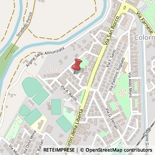 Mappa Via S. Allende, 12, 43052 Colorno, Parma (Emilia Romagna)