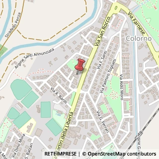 Mappa Viale San Rocco, 98, 43052 Colorno, Parma (Emilia Romagna)