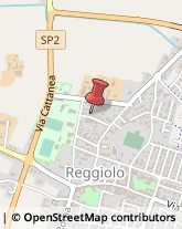 Viale Virgilio, 26,42046Reggiolo