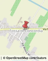 VIA BOSCO MONASTICO, 54/A,41033Concordia sulla Secchia