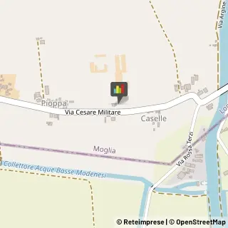 Aziende Agricole Moglia,46024Mantova