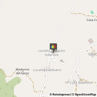 Aziende Agricole Pianello Val Tidone,29010Piacenza