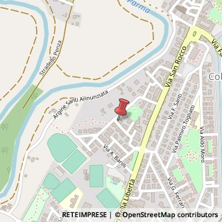 Mappa Via S. Allende, 21, 43052 Colorno, Parma (Emilia Romagna)