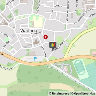 Elettricisti Viadana,46019Mantova