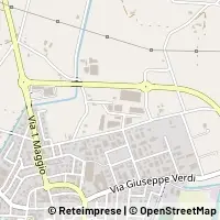 Map San Secondo Parmense