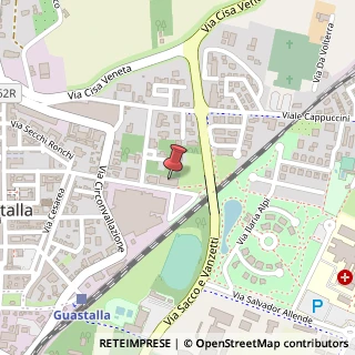Mappa Via G. Castagnoli, 13, 42016 Guastalla, Reggio nell'Emilia (Emilia Romagna)