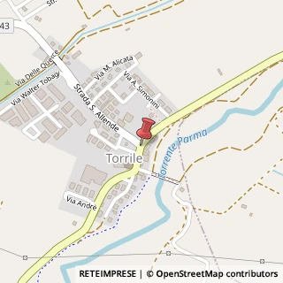 Mappa Strada della Praia, 2A1, 43056 Torrile, Parma (Emilia Romagna)