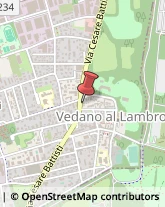 Viale C. Battisti, 50,20854Vedano al Lambro