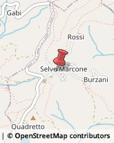 Via Padre Enrico Rosa, 5,13841Selve Marcone