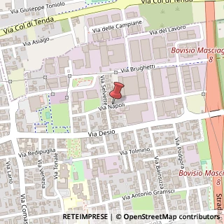Mappa Via Napoli, 29, 20813 Bovisio-Masciago, Monza e Brianza (Lombardia)