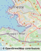 Parrucchieri Muggia,34015Trieste