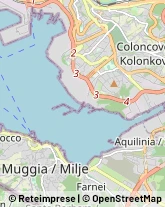 Parrucchieri Muggia,34015Trieste